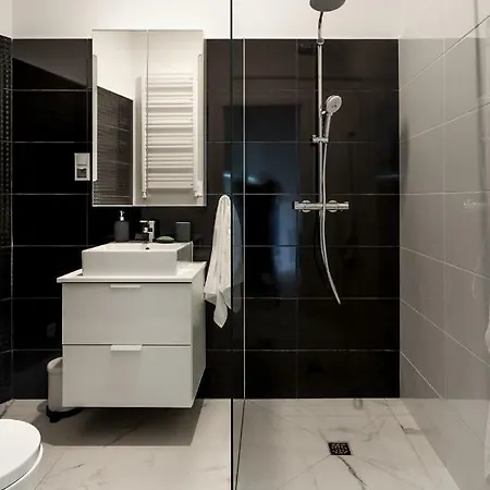 Piekny Klasyczny Apartament W Centrum Poznania *