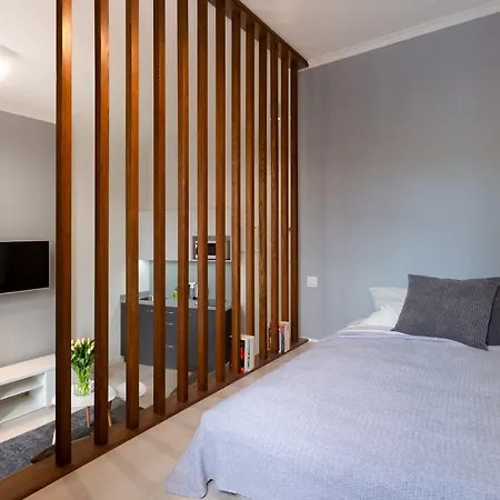 Piekny Klasyczny Apartament W Centrum Poznania *