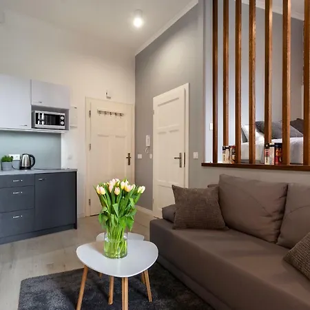 Piekny Klasyczny Apartament W Centrum Poznania * Poznan