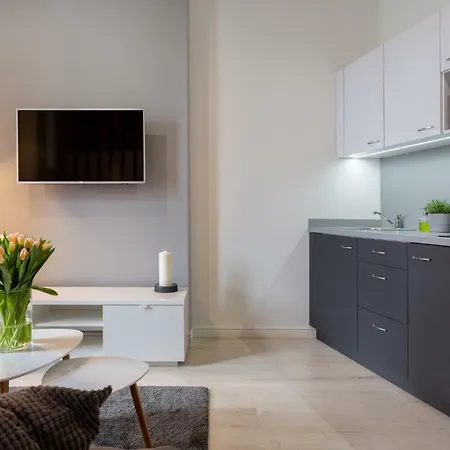Daire Piekny Klasyczny Apartament W Centrum Poznania